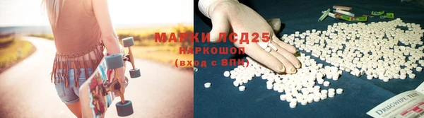винт Осташков