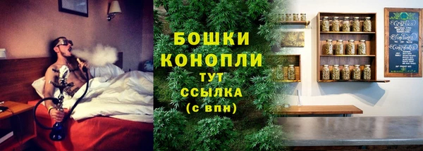 винт Осташков